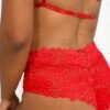 lenceria cachetero roja monteria
