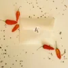 Cartas Picantes - Imagen 4